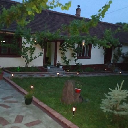 Casa Dragoi Din Socolari, Caras - Severin Exteriör bild